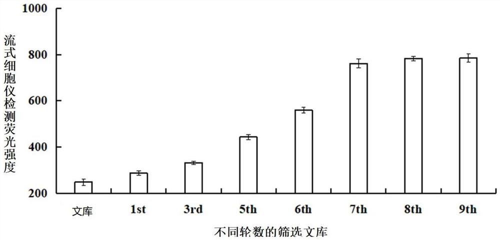 A nucleic acid aptamer and its application in the detection of pathogenic Vibrio alginolyticus from pompano ovata