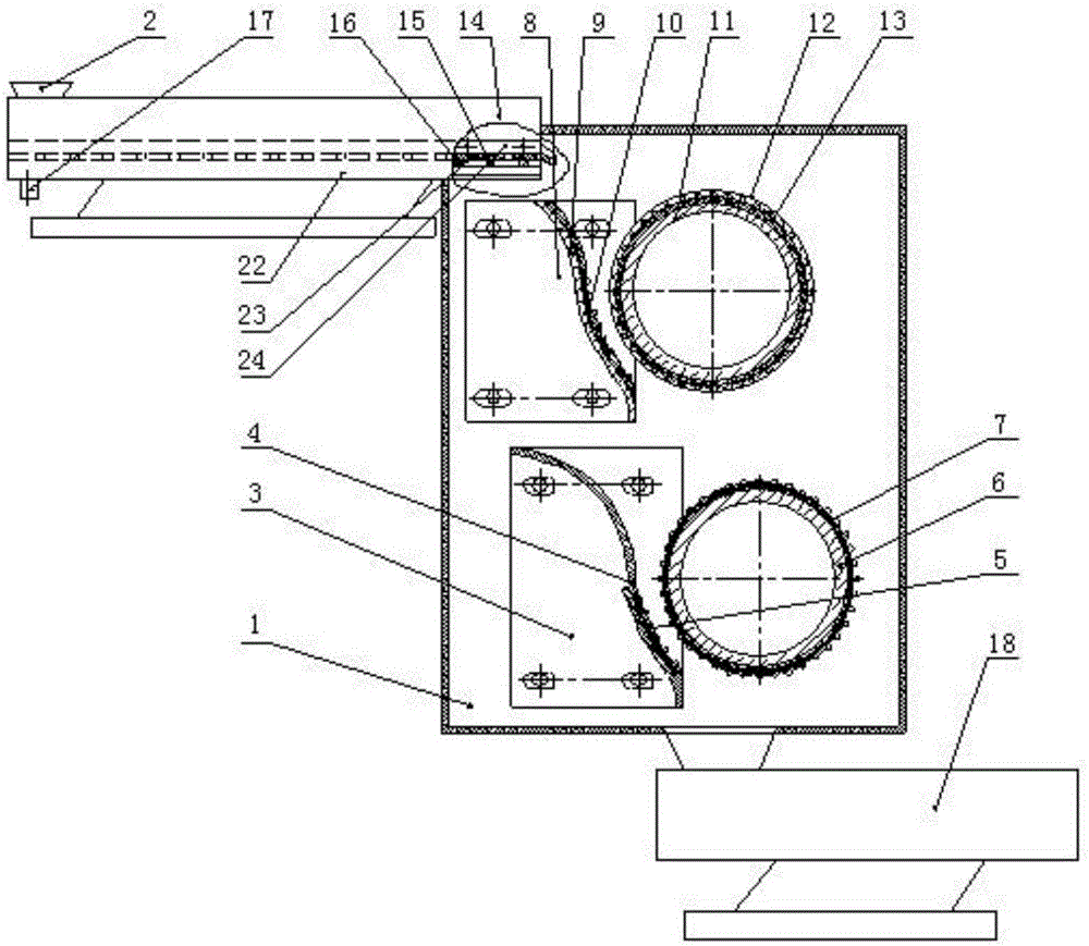 Walnut peeling system