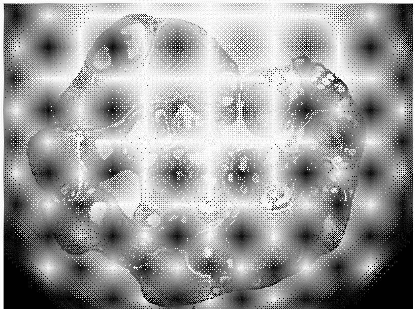 Application of nicotinic acid derivates in preparation of medicaments for promoting follicular development and maintaining ovarian functions