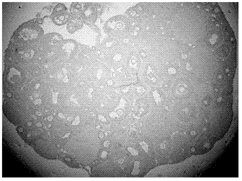 Application of nicotinic acid derivates in preparation of medicaments for promoting follicular development and maintaining ovarian functions