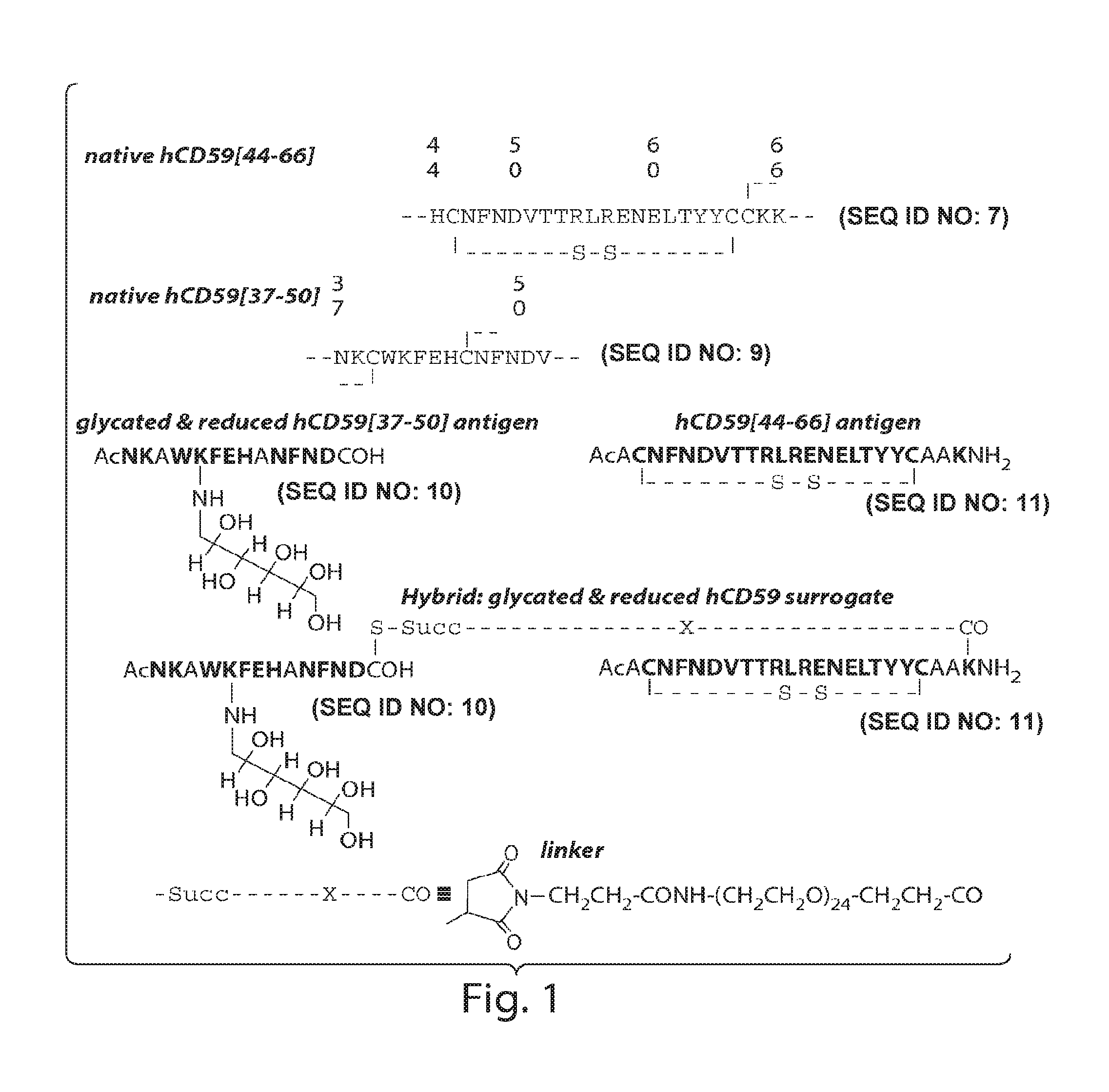 Surrogates of post-translationally modified proteins and uses thereof