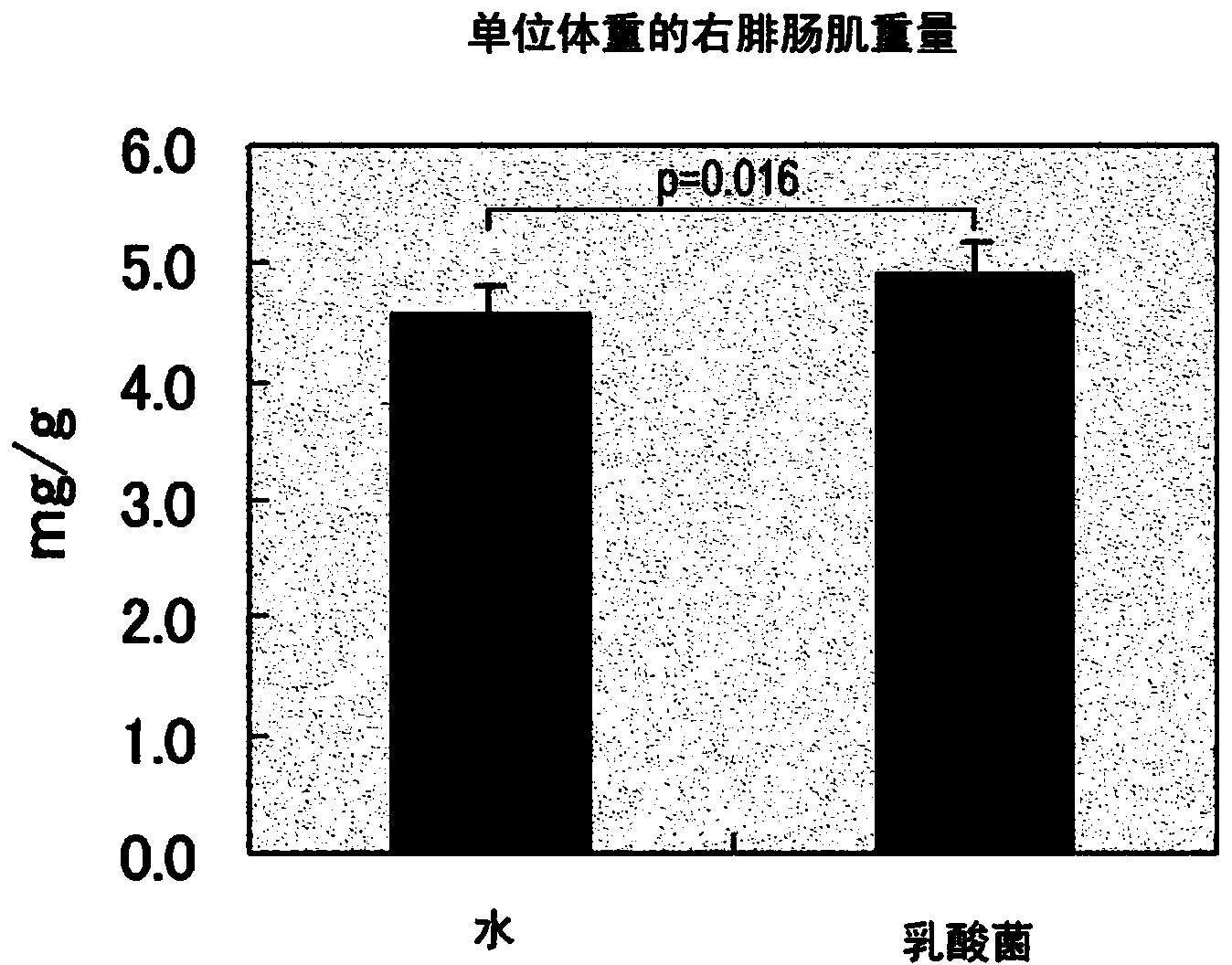 Lactic acid bacteria for promoting physical activity