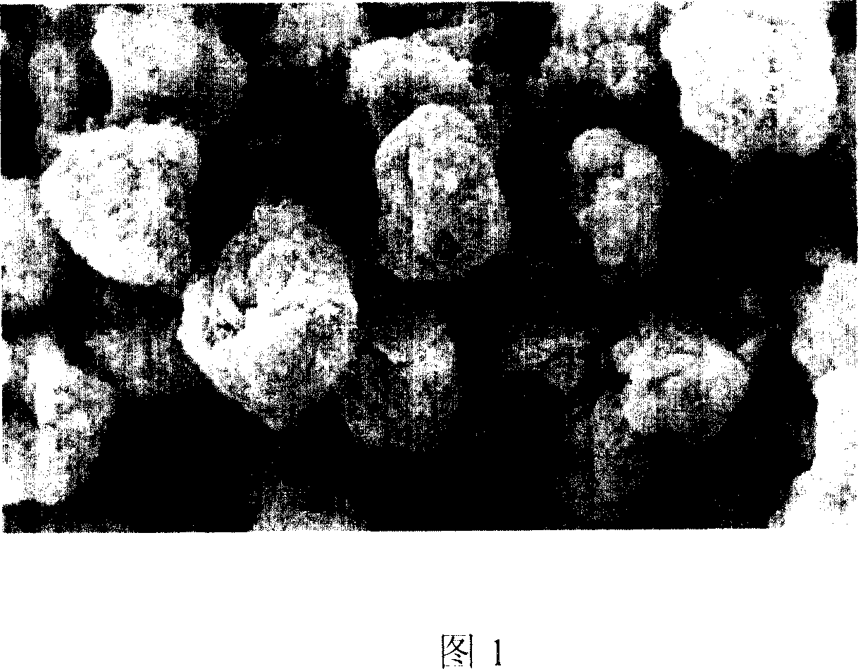 Preparation method of nickel magnesium cobalt hydroxide