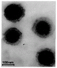 A kind of preparation method of dihydromyricetin-loaded ternary composite liposome