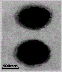 A kind of preparation method of dihydromyricetin-loaded ternary composite liposome