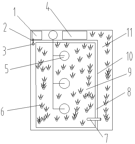 Method for ecologically breeding lobsters in ponds or paddy fields in high-density manner