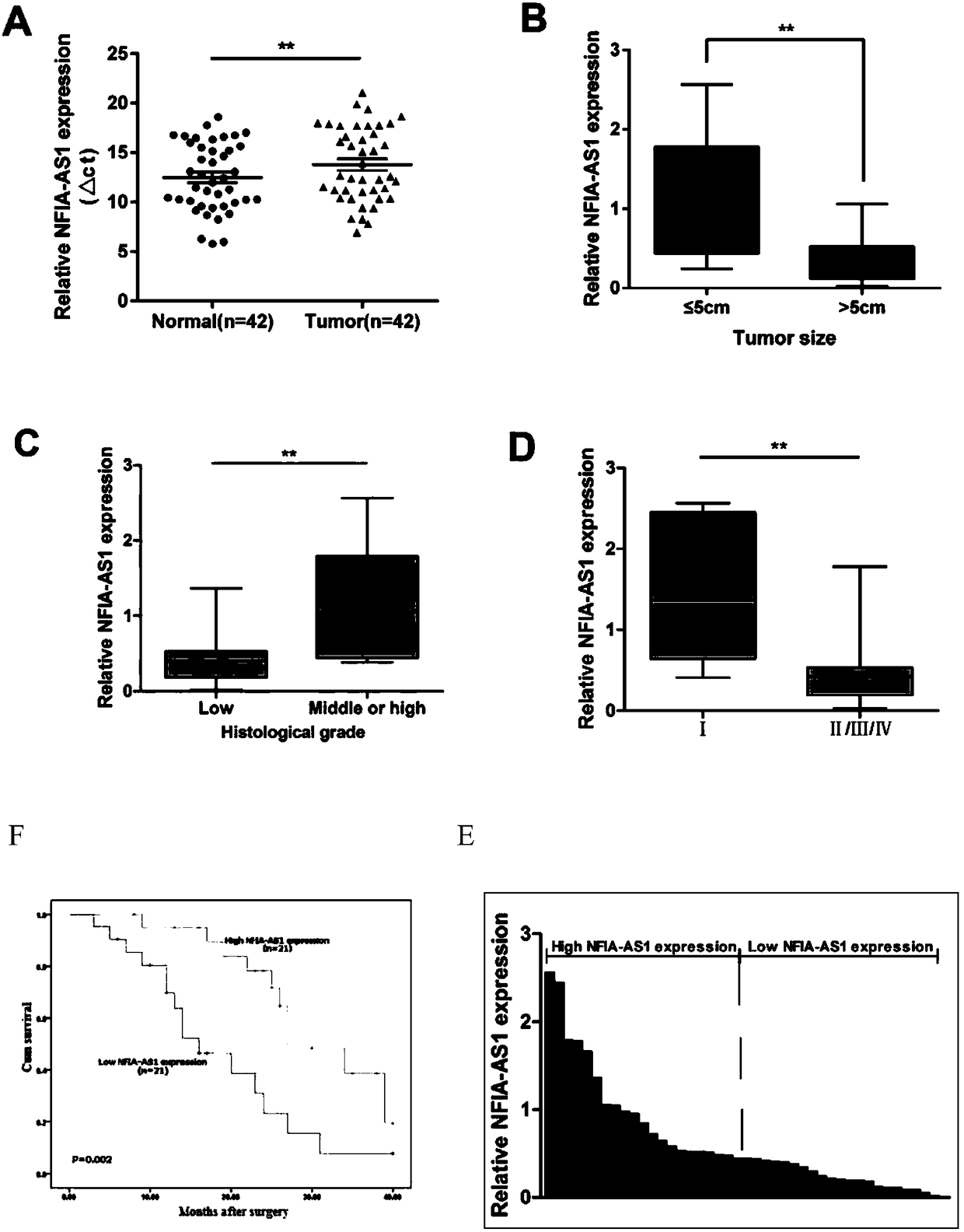 Applications of long chain non-coding RNA and composition thereof in diagnosis/treatment of stomach cancer