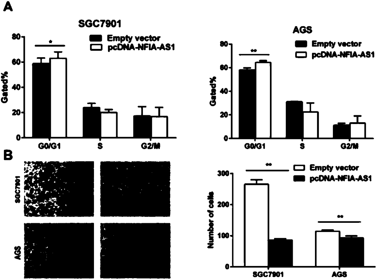 Applications of long chain non-coding RNA and composition thereof in diagnosis/treatment of stomach cancer