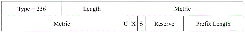 Detection system and method for routing configuration abnormity of IS-ISv6 network