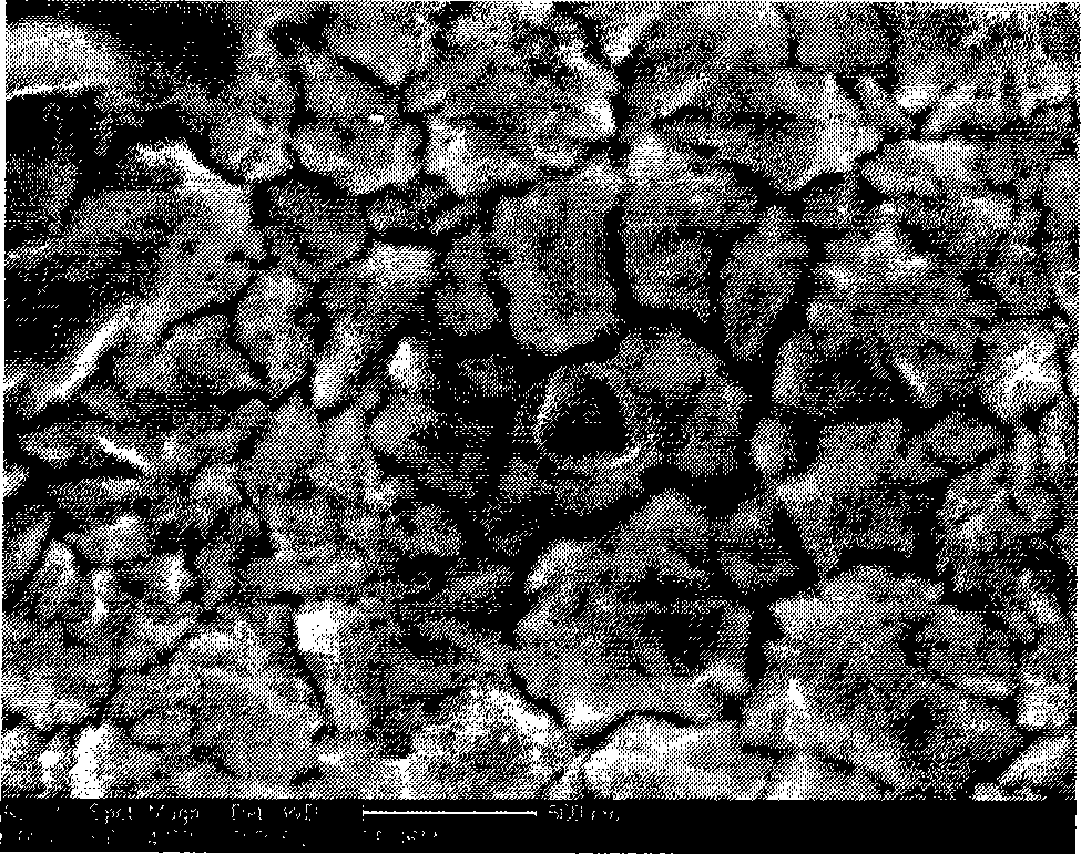 Ferroboron chemical plating liquid as well as ferroboron coating material and preparation method thereof