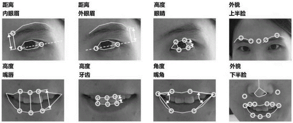 Facial expression analysis-based depression degree automatic evaluation system