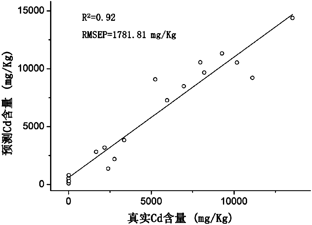 Rapid tobacco root cadmium content detection method based on laser induced breakdown spectroscopy technology