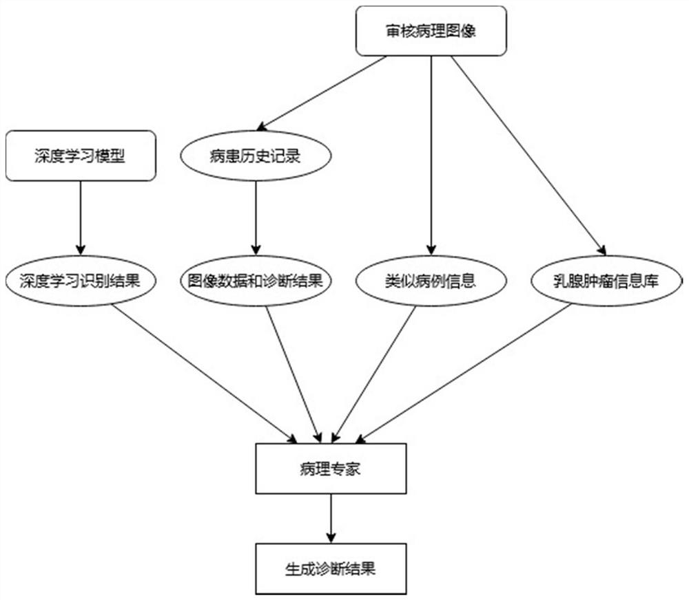 Multi-information fused pathological image classification and recognition method and system