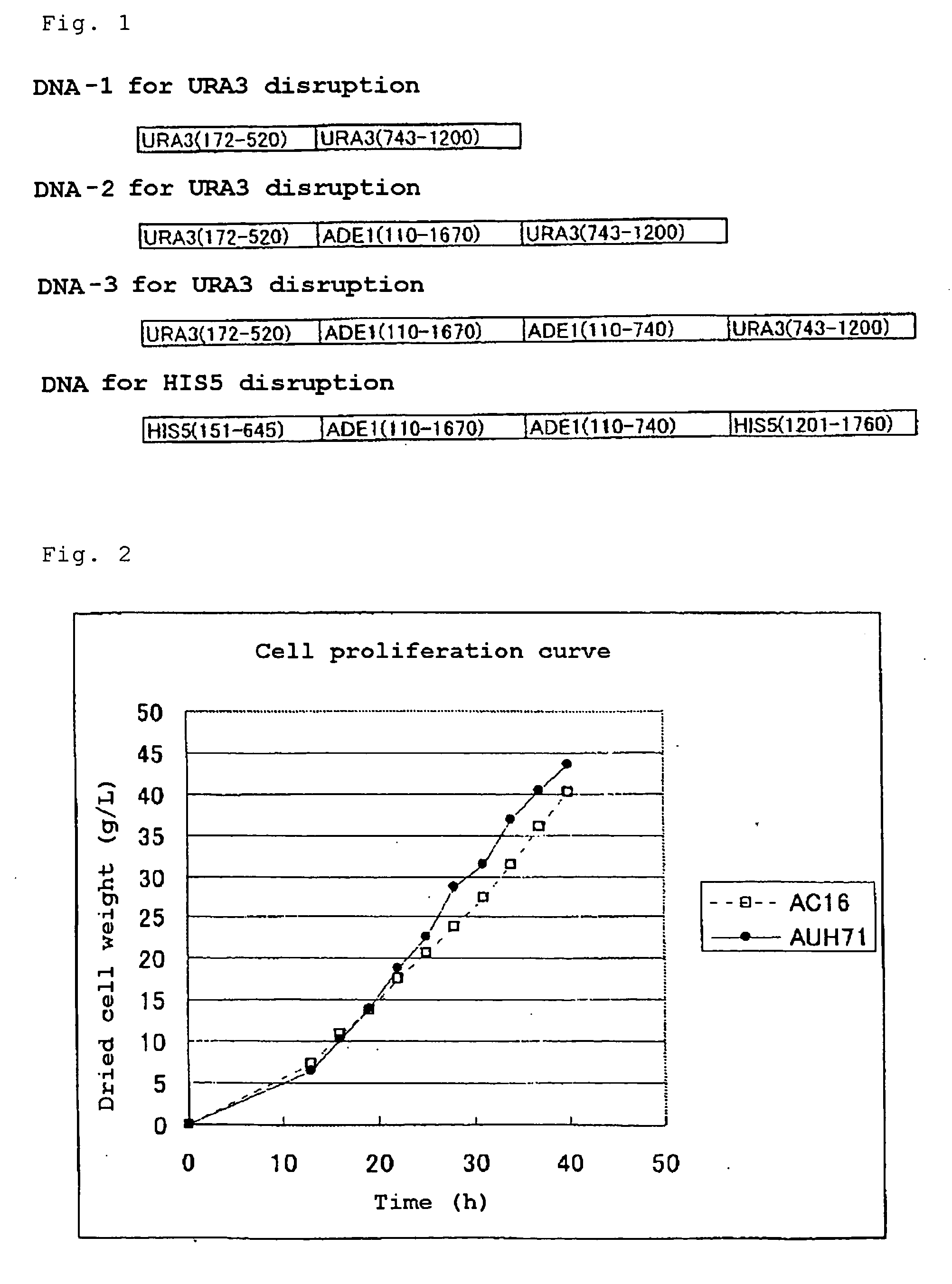 Novel Transformant and Process for Producing Polyester Using the Same