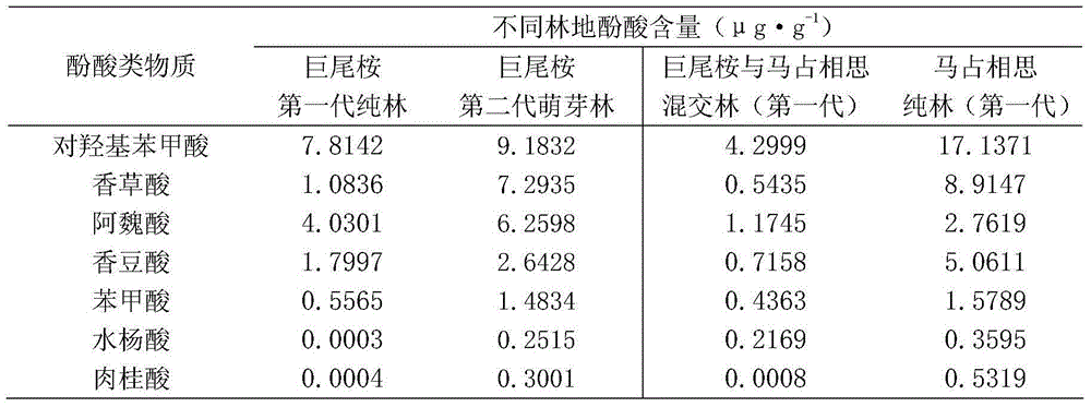 Method for detecting types and contents of soil phenolic acids in eucalyptus forest land