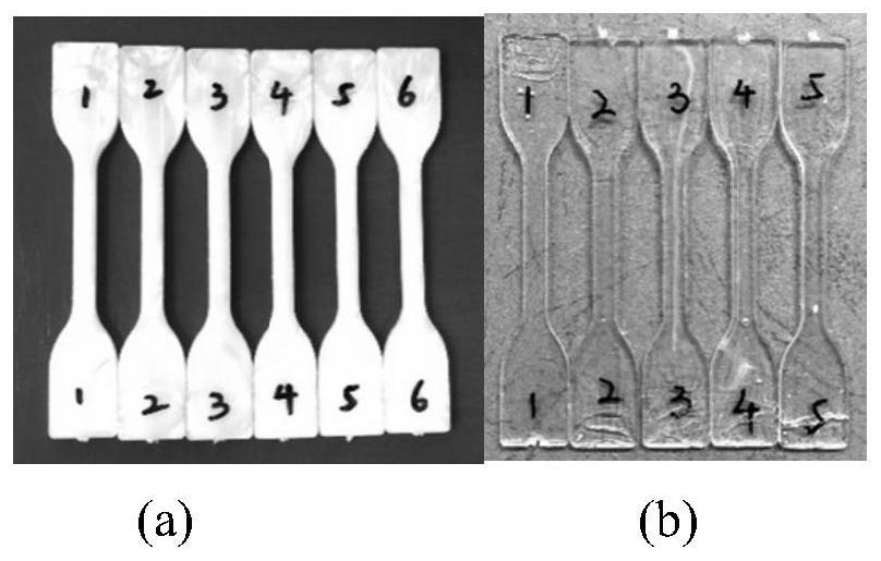 A kind of optically transparent polymethyl methacrylate/polycarbonate compound and preparation method thereof