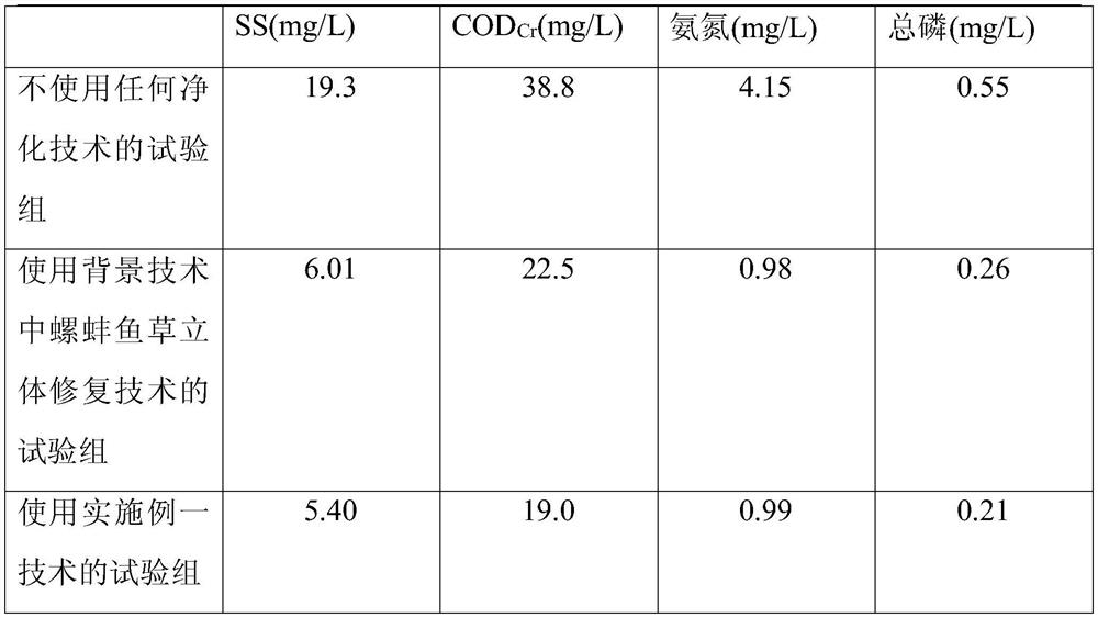 Snail, clam, fish and grass symbiotic purification system for ecological restoration of surface water