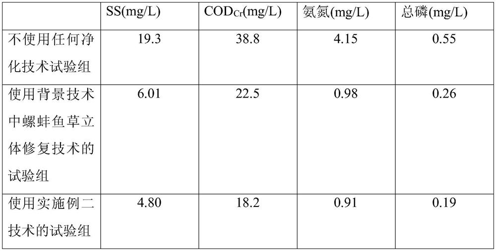 Snail, clam, fish and grass symbiotic purification system for ecological restoration of surface water