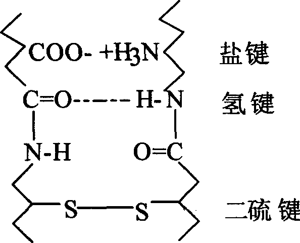 Multifunctional setting agent and process after wool tensioning and thinning