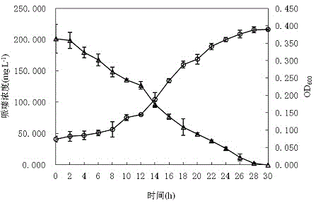 Piperazine degraded paracoccus PQ-01 and application thereof