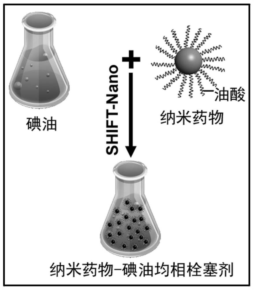 Nano-drug-iodine oil homogeneous preparation as well as preparation method and application thereof