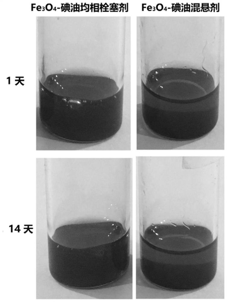 Nano-drug-iodine oil homogeneous preparation as well as preparation method and application thereof