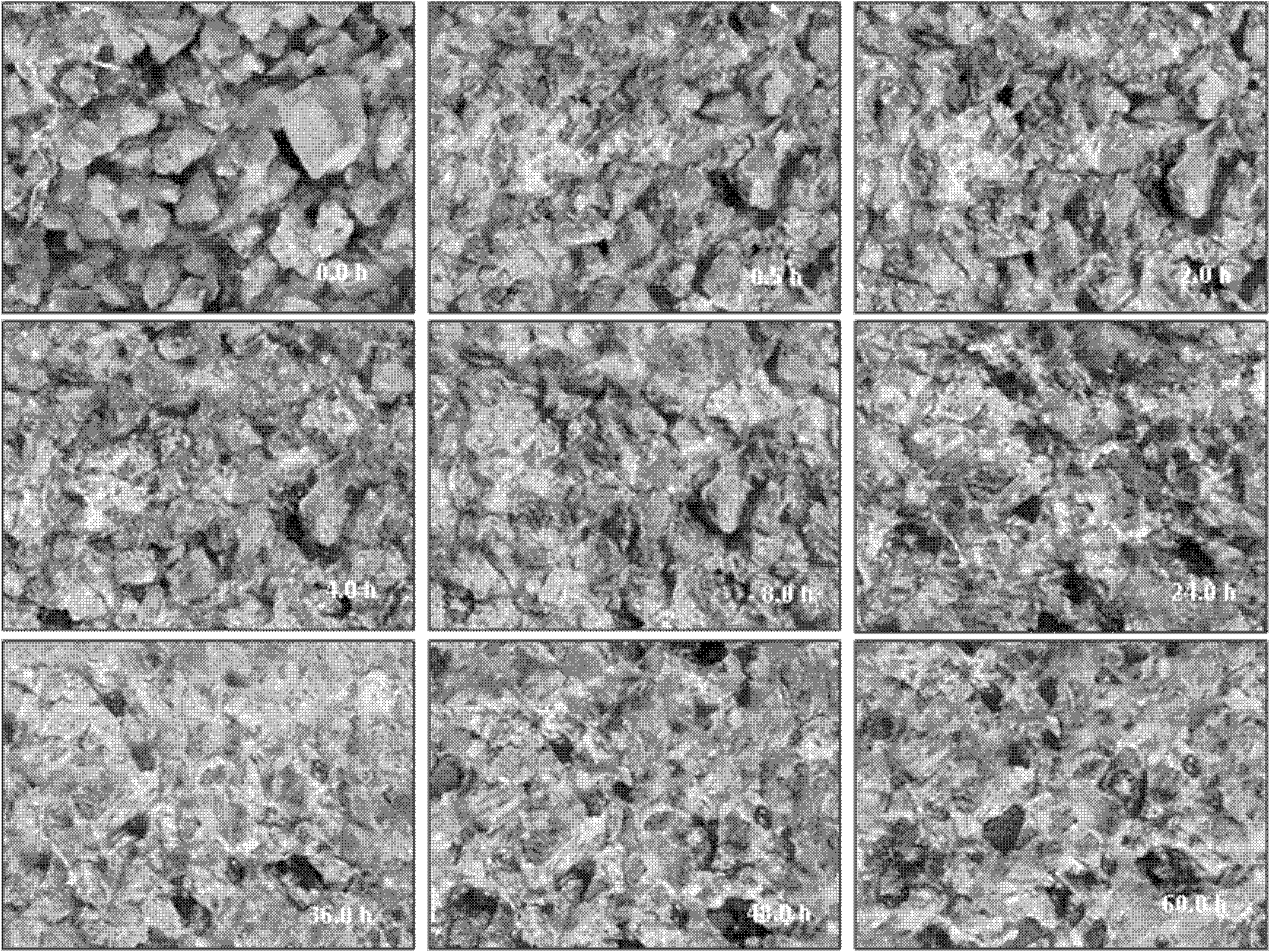 Simulation test method of road surface anti-skidding overlaying material unconsolidation and particle fall and testing equipment thereof