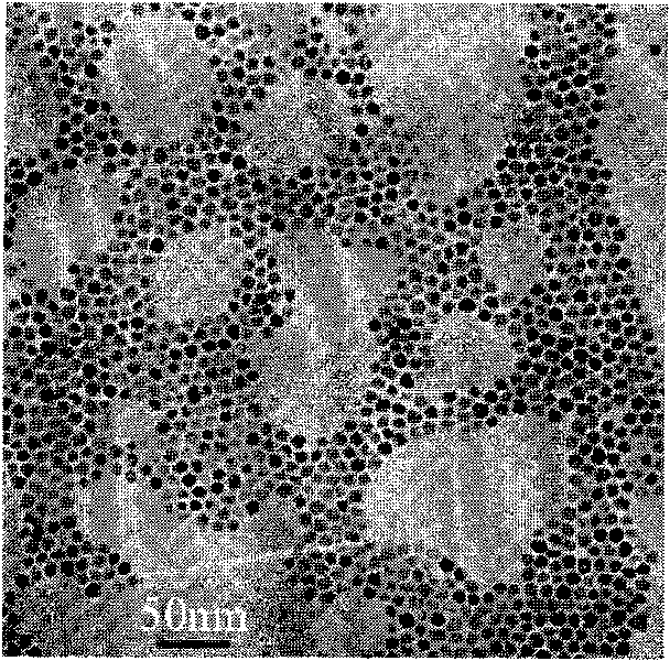 Method for synthesizing series alloy nanometer crystals