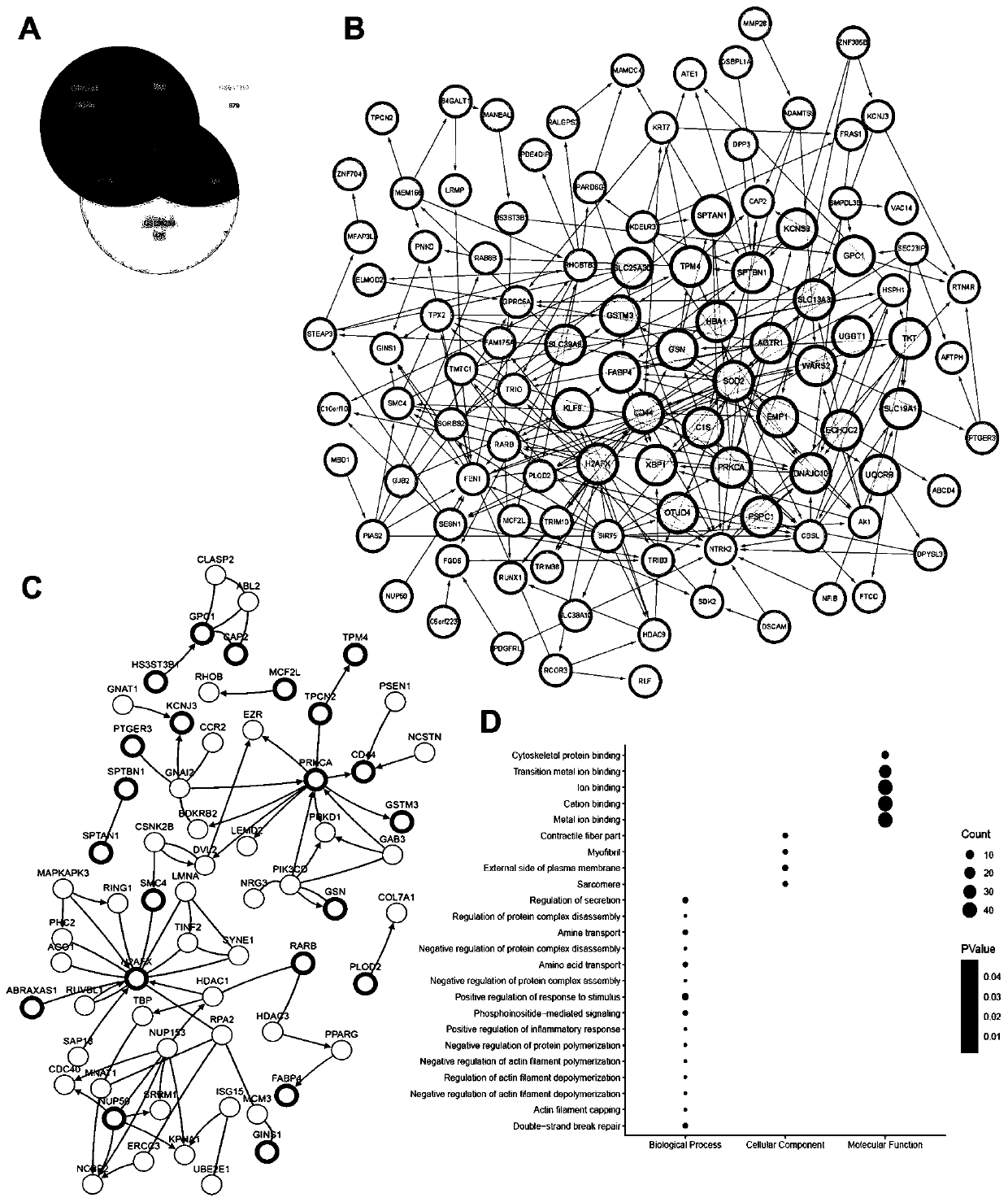 Combined genome for evaluating prognosis of clear cell renal cell carcinoma (ccRCC) and application of combined genome