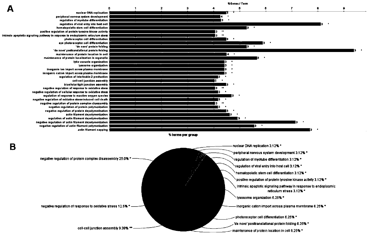 Combined genome for evaluating prognosis of clear cell renal cell carcinoma (ccRCC) and application of combined genome