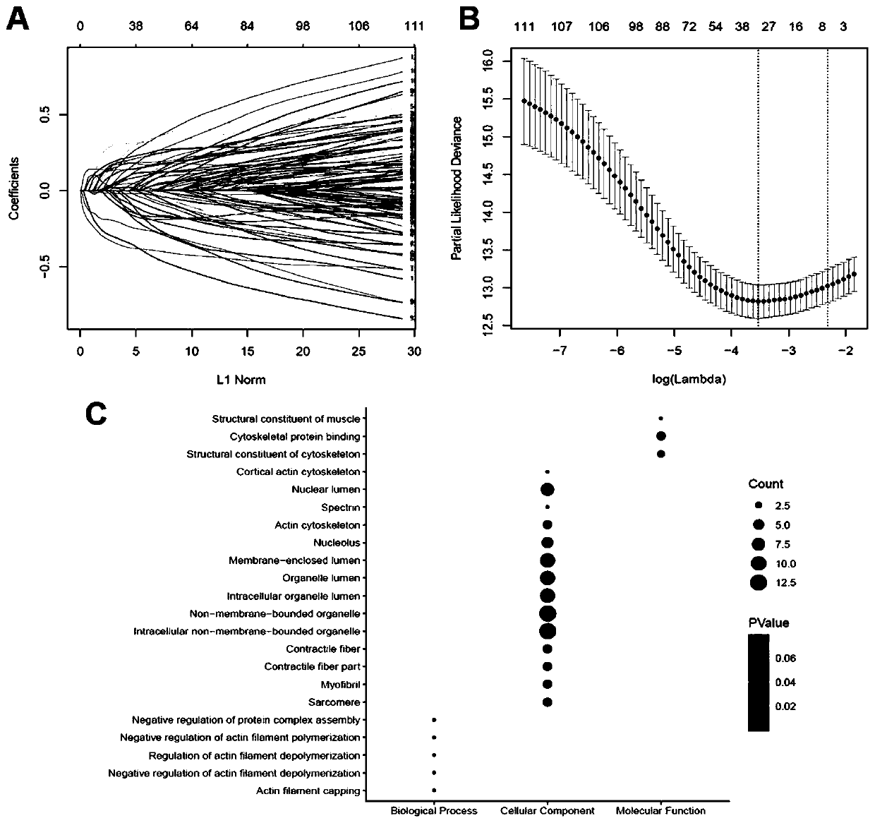 Combined genome for evaluating prognosis of clear cell renal cell carcinoma (ccRCC) and application of combined genome