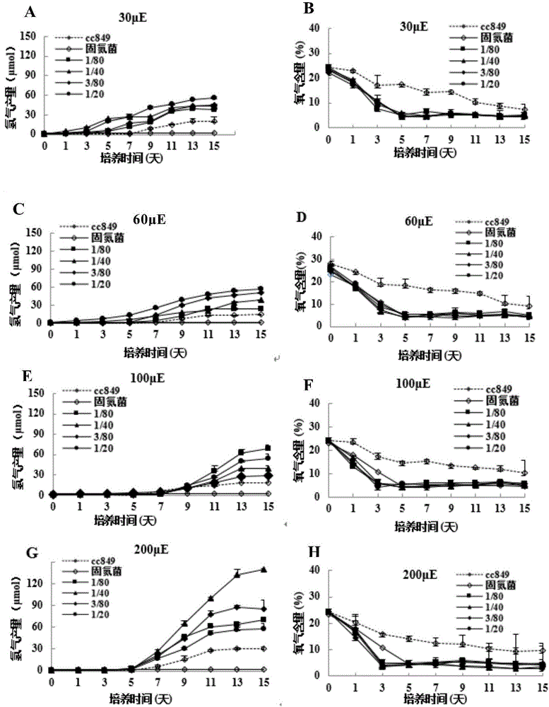 Method for improving hydrogen production of chlamydomonas