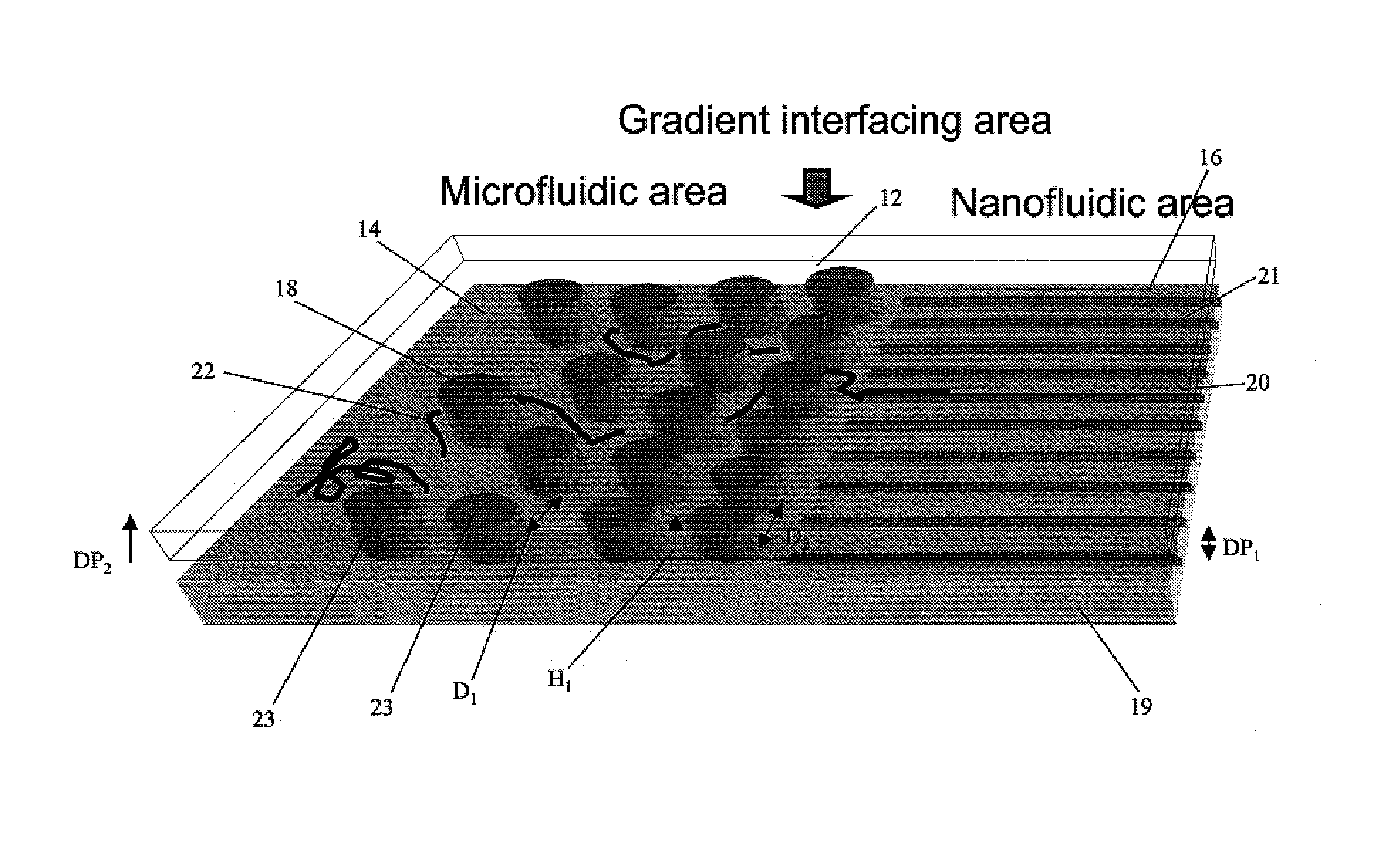 Gradient structures interfacing microfluidics and nanofluidics, methods for fabrication and uses thereof