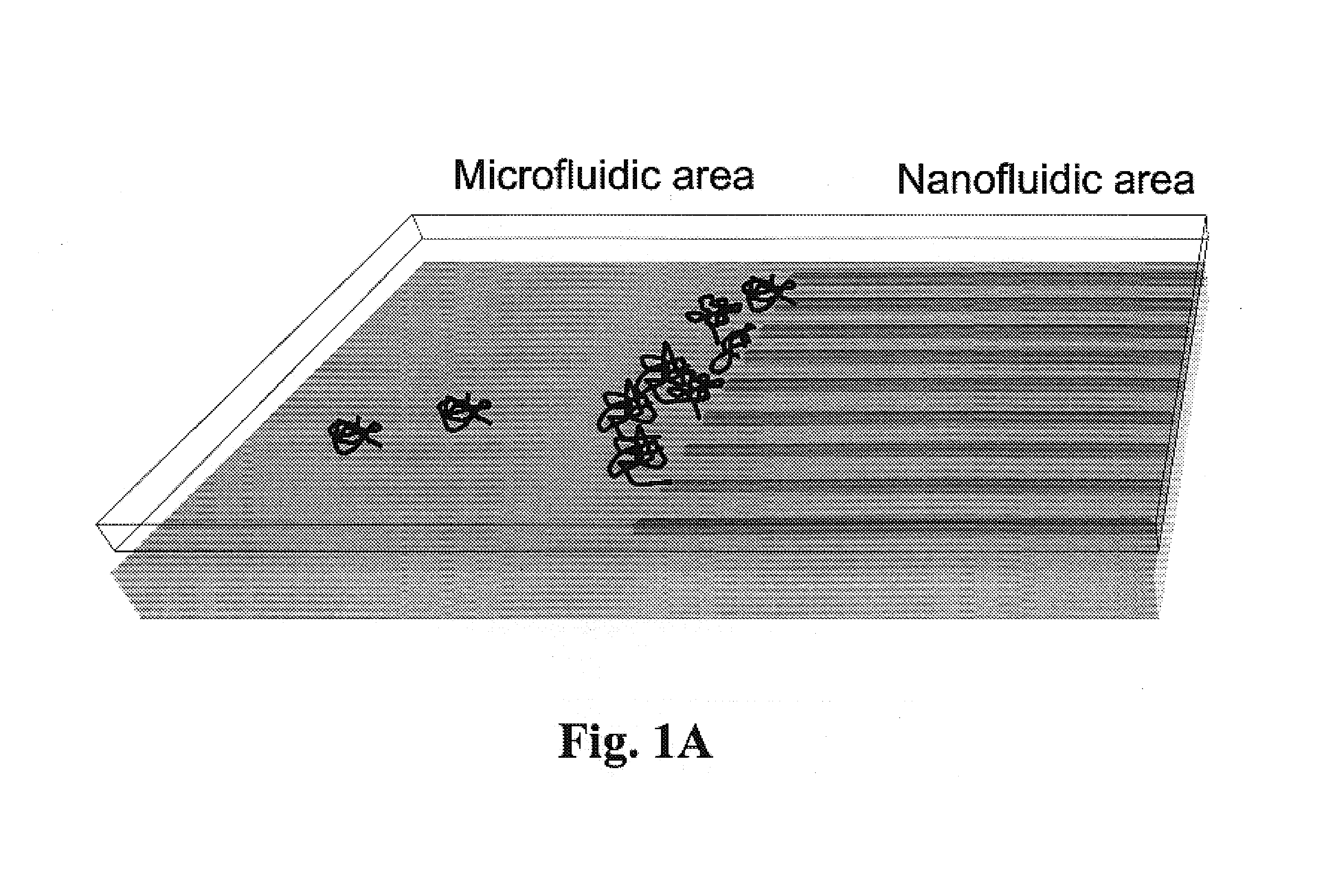 Gradient structures interfacing microfluidics and nanofluidics, methods for fabrication and uses thereof