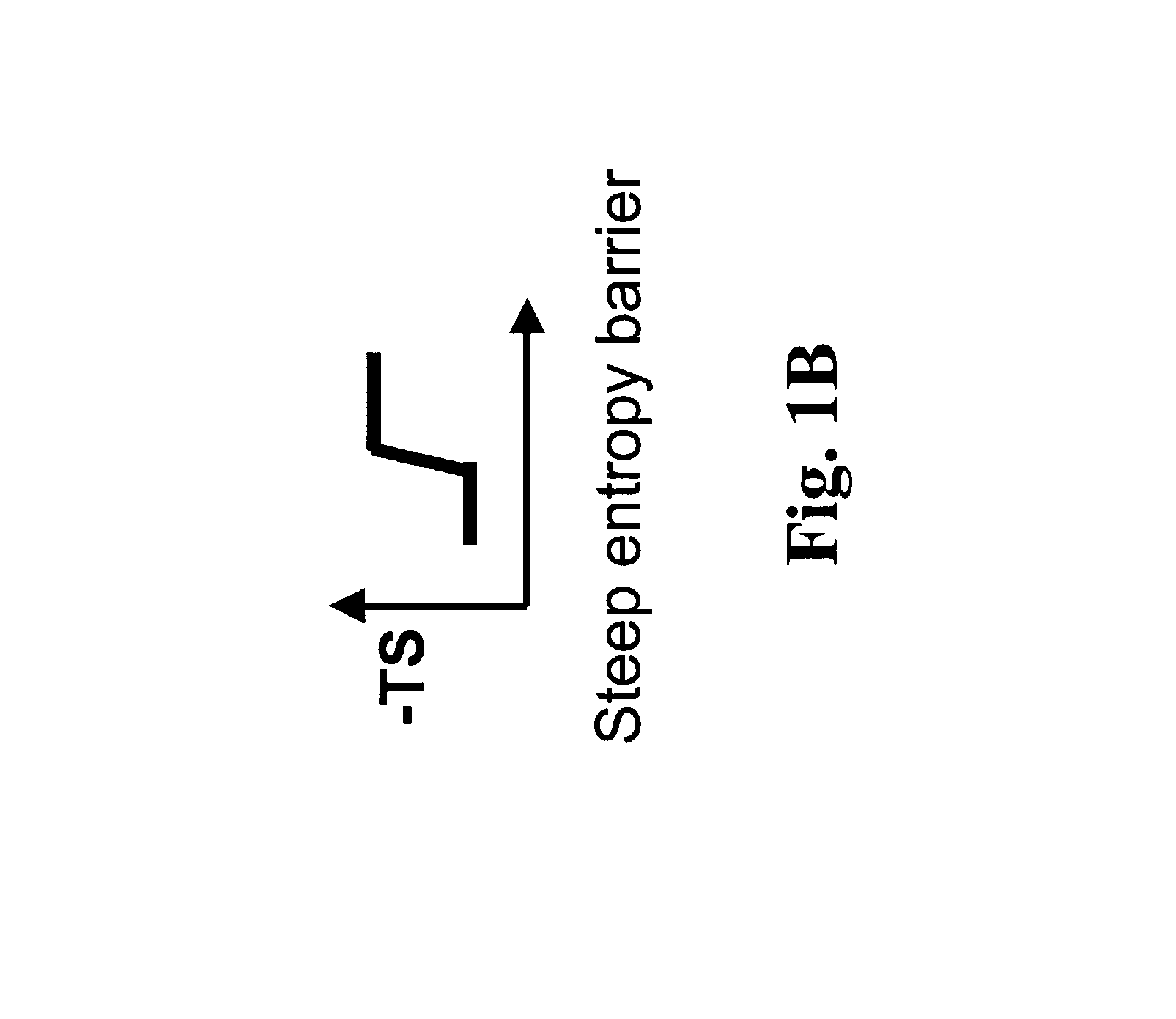 Gradient structures interfacing microfluidics and nanofluidics, methods for fabrication and uses thereof