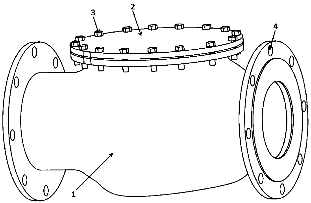 A kind of spin check valve