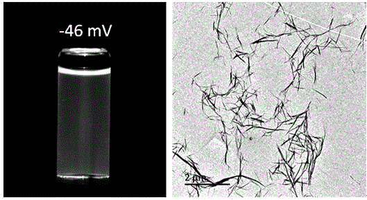 Preparation method of electronegative chitin nanofiber hydrogel and aerogel