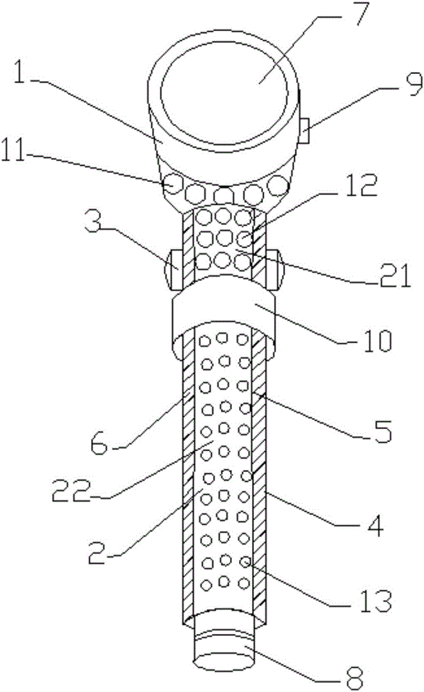 Multifunctional shower