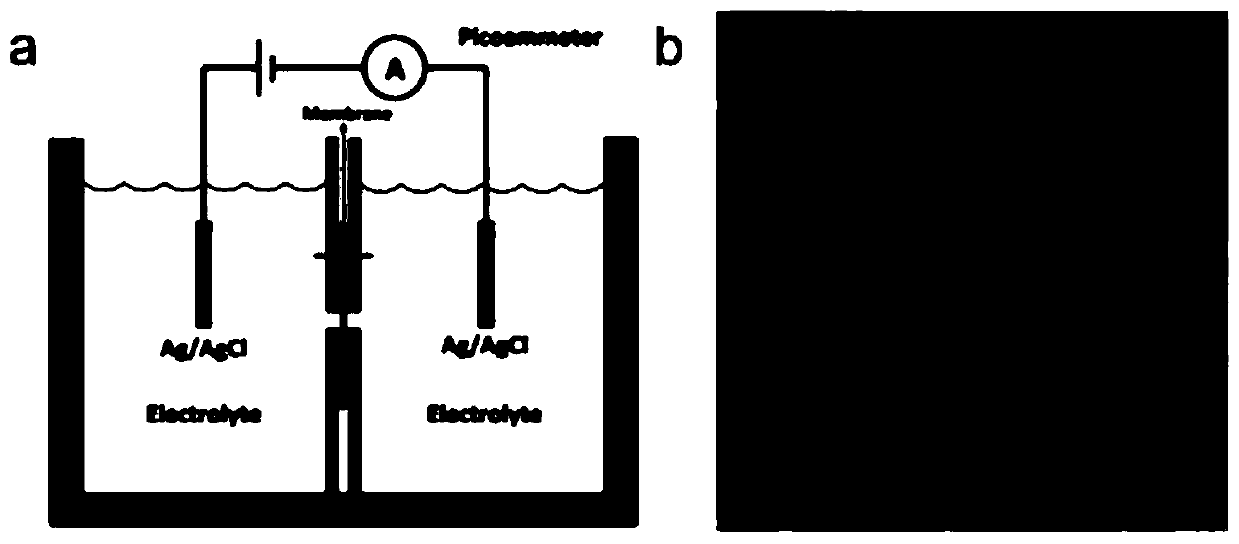 Two-dimensional/one-dimensional heterogeneous nanochannel film and preparation method and application thereof