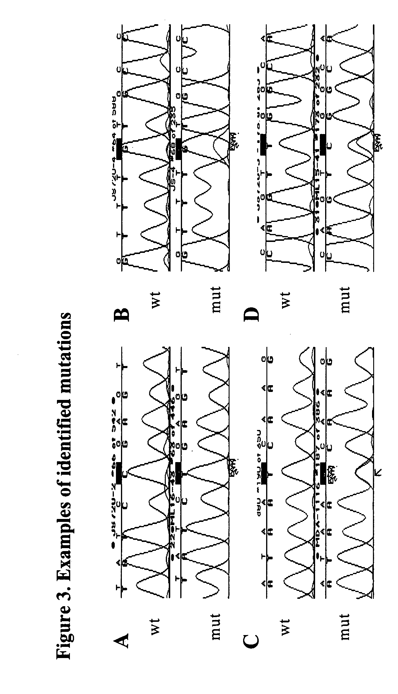 Measurement of mutation load using the p53 gene in human cells from paraffin embedded tissues