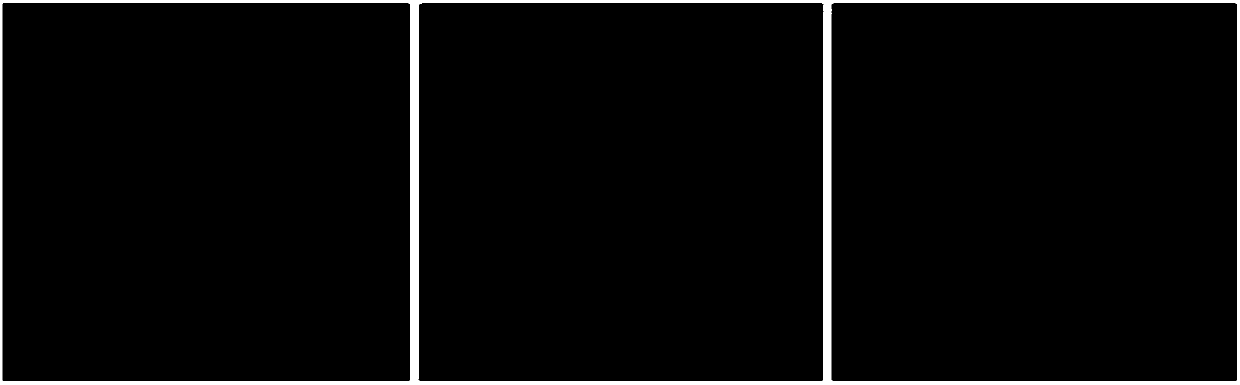 Hepatitis B covalently closed circular DNA magnetic trapping technique