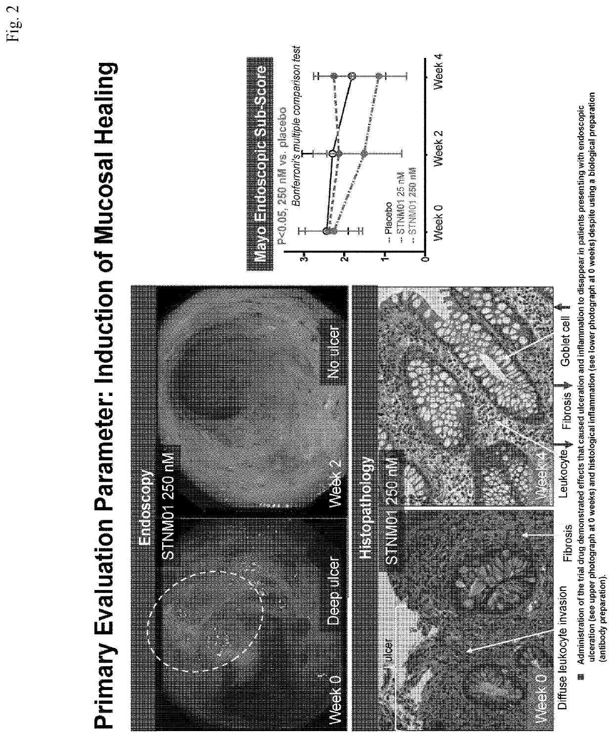 Pharmaceutical composition for treatment and prevention of chronic disease