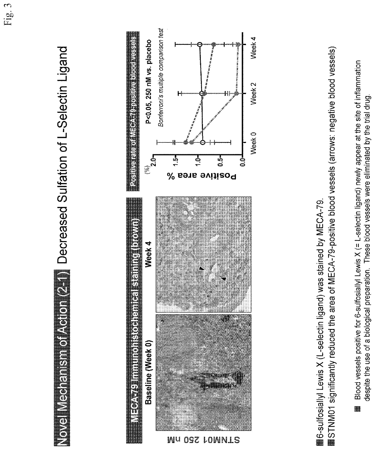 Pharmaceutical composition for treatment and prevention of chronic disease