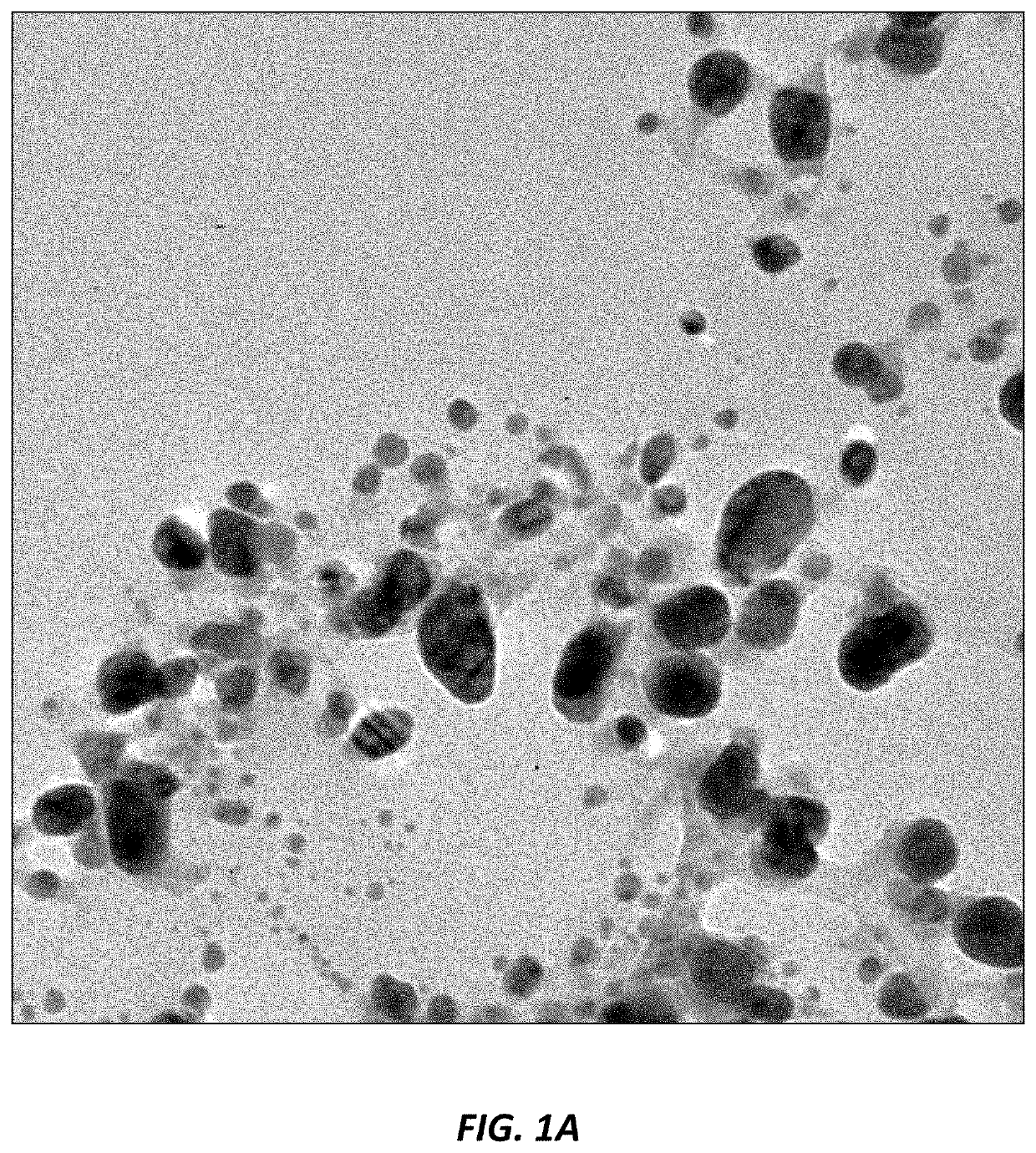 Use of nanoparticles for treating respiratory infections associated with cystic fibrosis