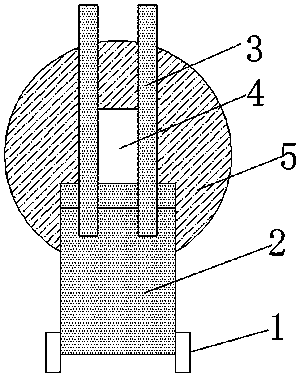 Blanching and sulfur smouldering device for preserved fruit processing