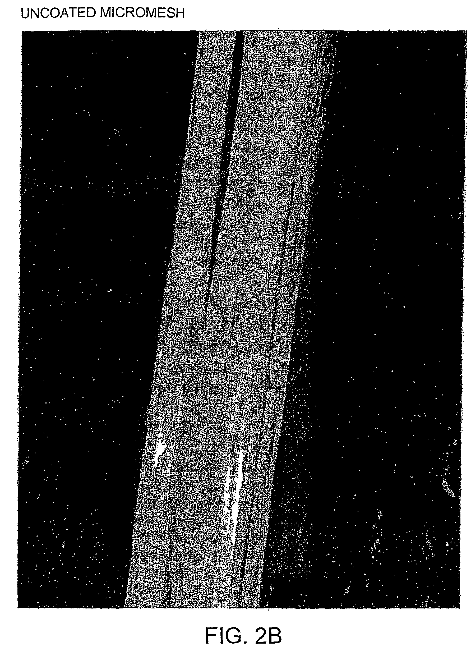 Biofilm therapy interproximal devices