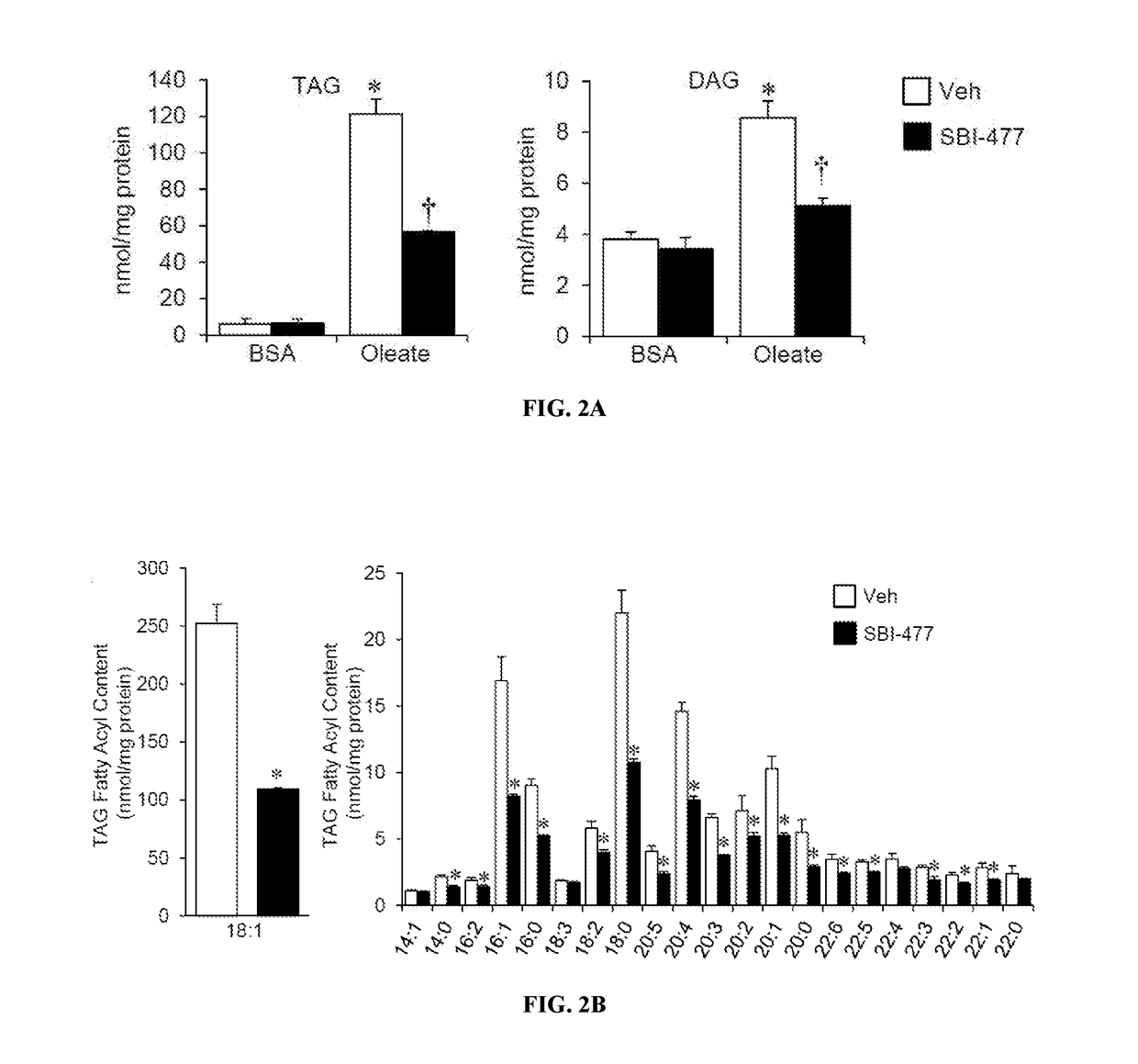 Modulators of myocyte lipid accumulation and insulin resistance and methods of use thereof