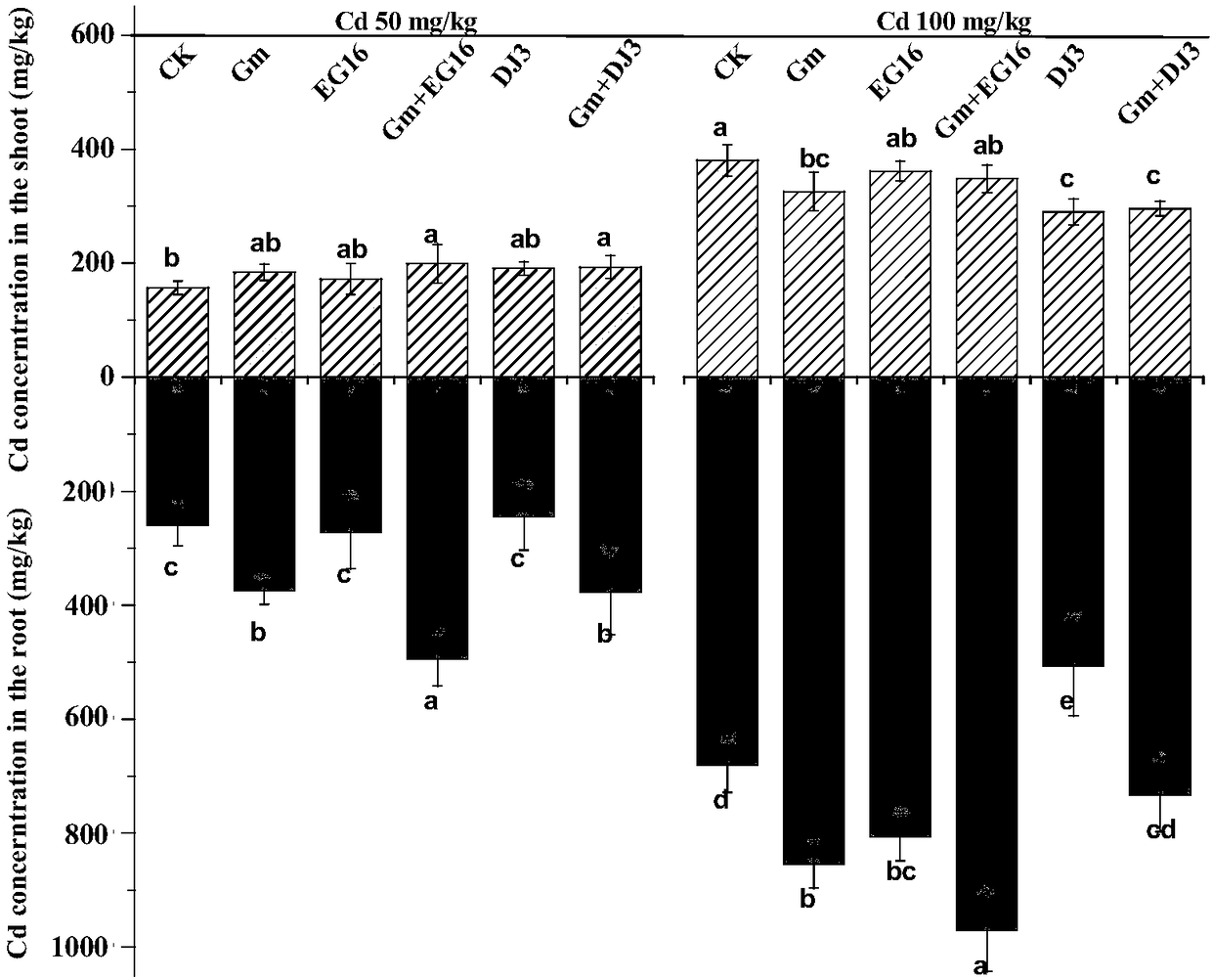 Method for improving cadmium resistance of tomatoes