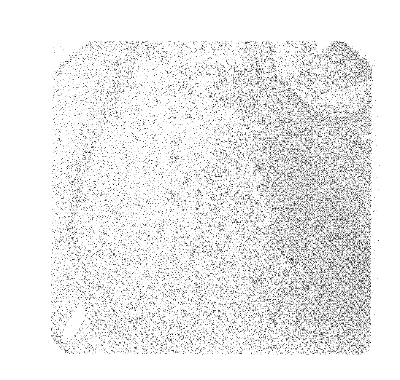 Devices, compositions and methods for the protection and repair of cells and tissues