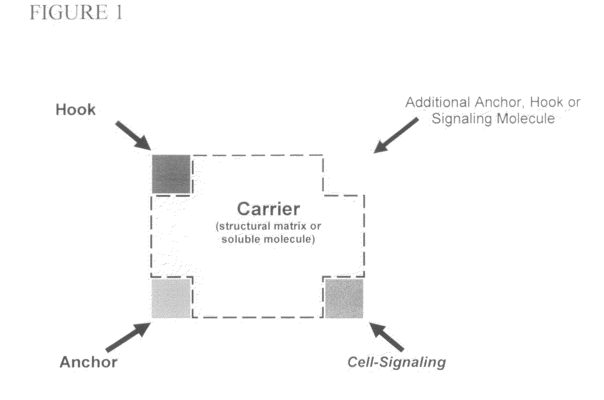 Devices, compositions and methods for the protection and repair of cells and tissues